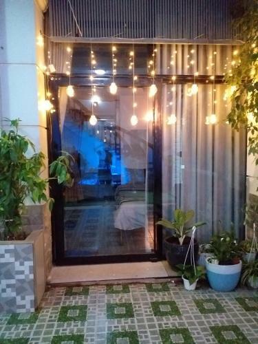 Gecko Hostel