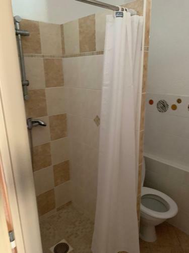 Hostal Penzion U Grobiana