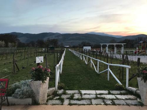 Bed & Breakfast Ca' Del Conte Agrihouse