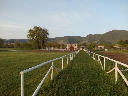 Bed & Breakfast Ca' Del Conte Agrihouse