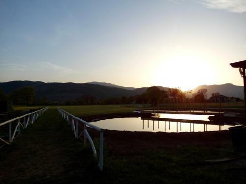 Bed & Breakfast Ca' Del Conte Agrihouse