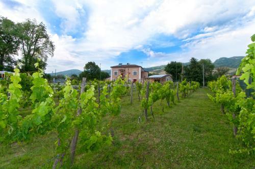 Bed & Breakfast Ca' Del Conte Agrihouse