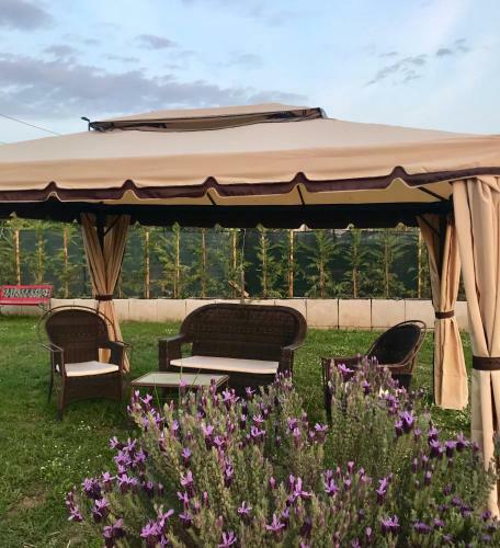 Bed & Breakfast Ca' Del Conte Agrihouse