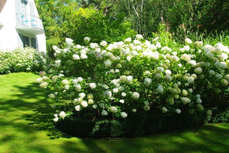 Bed & Breakfast So Touquet