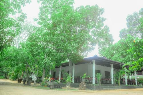 Lodge Ciigiri Splendour