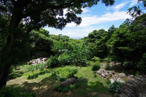Guest House Views