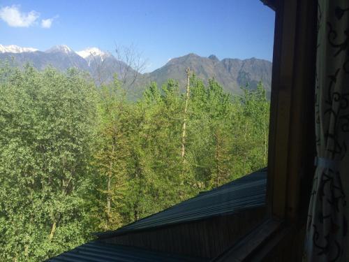 Hostal The Oasis Srinagar