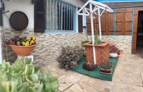 Mamas Summer House