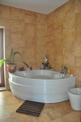 Agroturismo Casas Vale Martinho