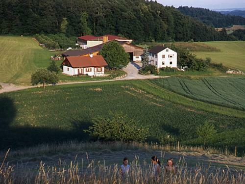 Apartamento Ferienwohnung Aichem