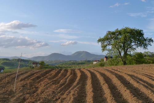 Hostal Eko Penzion Mila