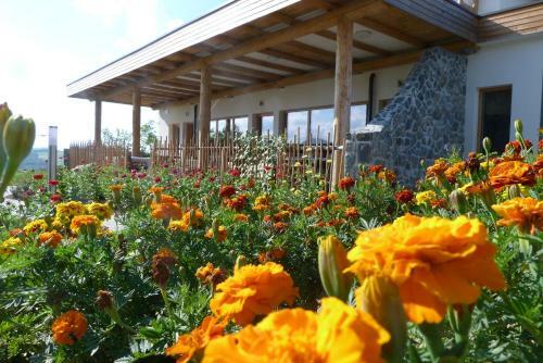 Hostal Eko Penzion Mila