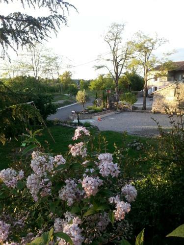 Bed & Breakfast Le Mas De La Colombe