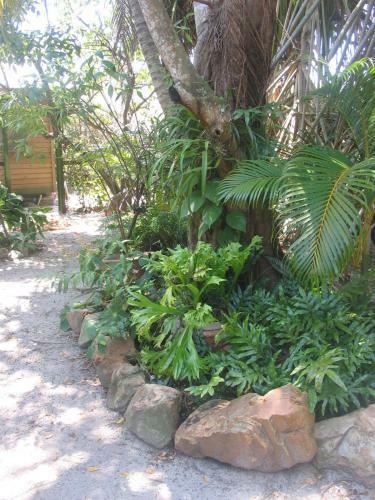 Hostal High Tide Guest House