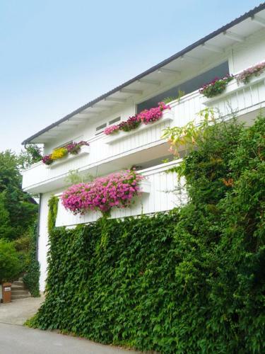 Apartamento Ferienwohnung Hoffmann