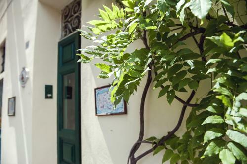 Bed & Breakfast La Torre
