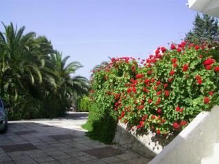 B&B Tra I Frutti