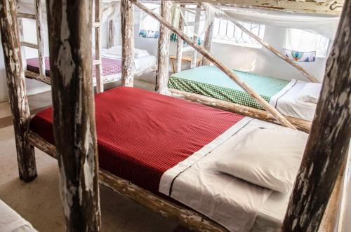 Albergue Fat Cat Backpackers