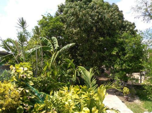 Bed & Breakfast Hotel Casa Colonial