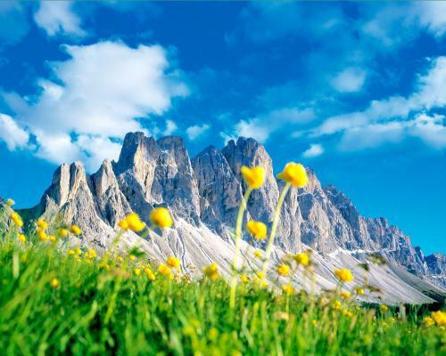 Apartamento Appartment Schatzer