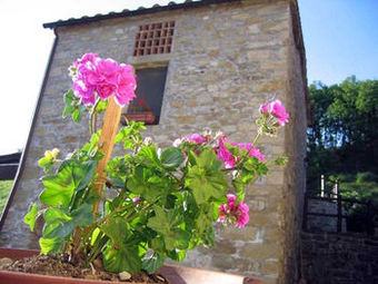 Agroturismo Borgo Tramonte