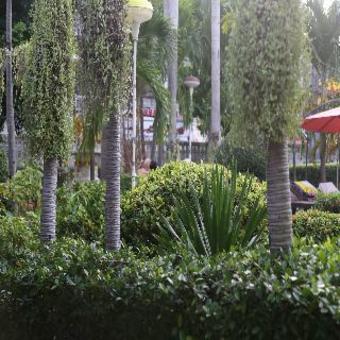 Hotel Romeo Palace