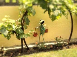 Bed & Breakfast Cascina Bella Vista