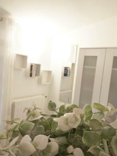 B&B Olbia