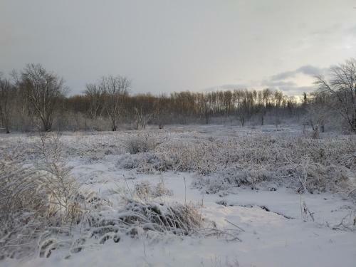 Chalet Du Marais