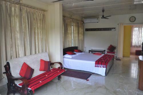 Saikia Nest