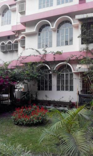 Saikia Nest