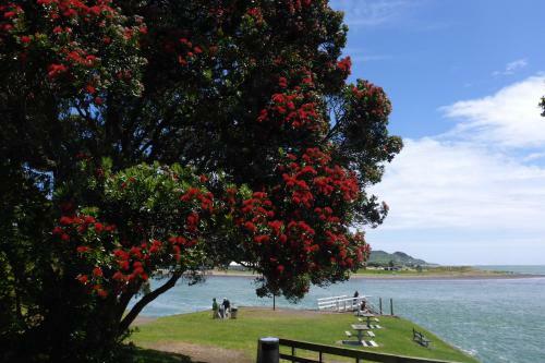 Ocean View Raglan B&B