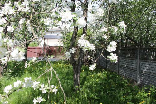 Hostal Jasmin Guest House