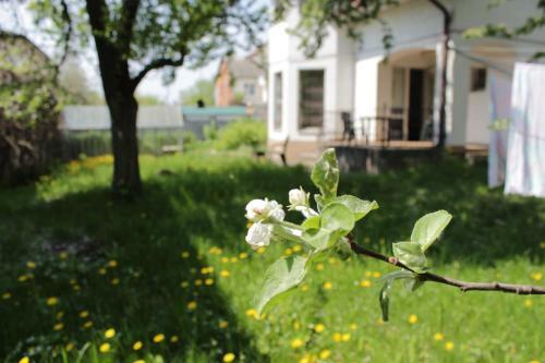 Hostal Jasmin Guest House