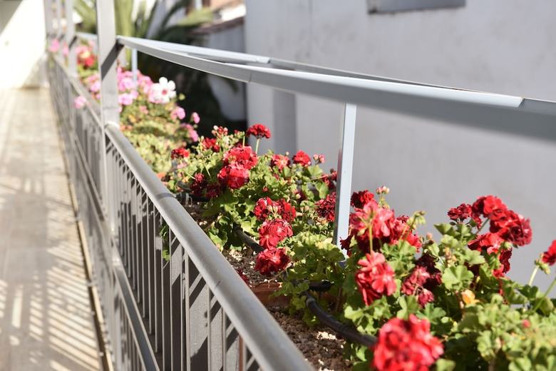 Apartamento Las Casas De Nani