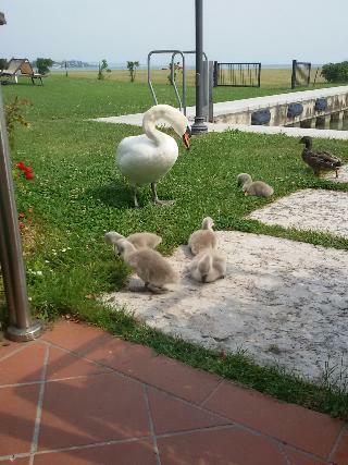 Yachting Hotel Mistral