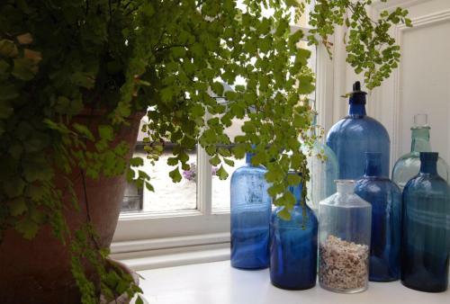 Bed & Breakfast Willowhill House