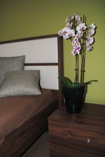 Marita's Apartment - Dikastirion