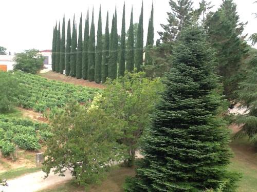 Bed & Breakfast Ch�teau De Rouffiac