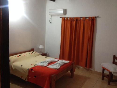 Fiambala Caba�as Pissis