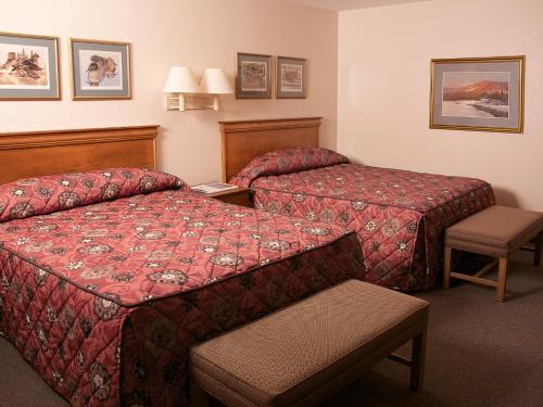 Hotel Bear Lodge