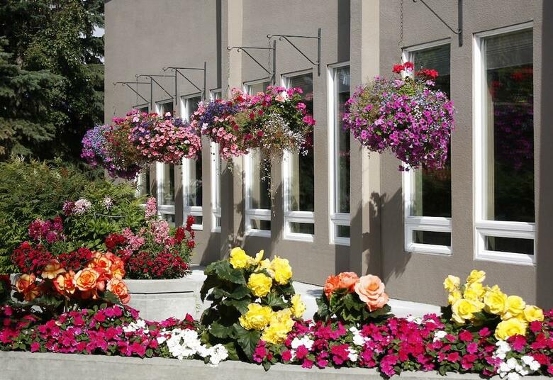 Hotel Wedgewood Resort