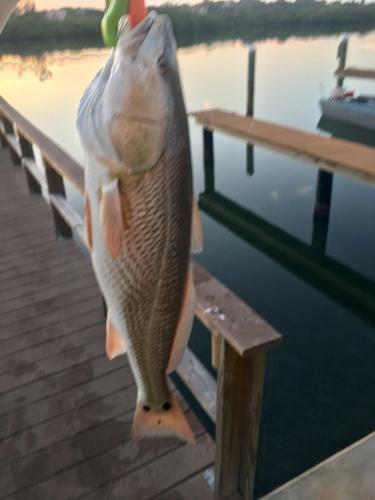 Apartamento Pinellas County Beach Condo