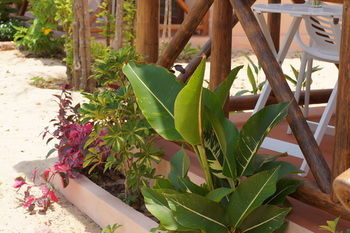 Hotel Gold Sand Beach Bungalow