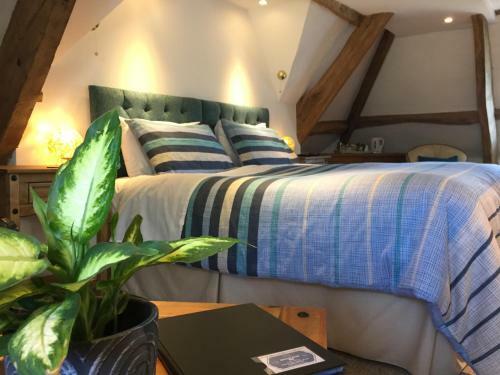 Bed & Breakfast Aberllynfi House