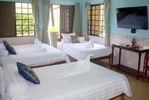 Hostal The Magic Sponge