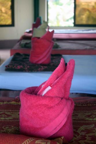 Hostal The Magic Sponge