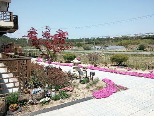 Starlight Journey Pension
