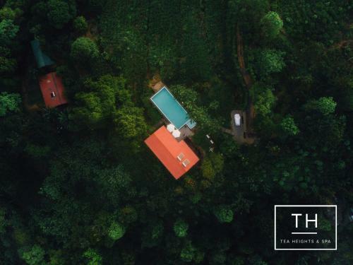 Hotel Tea Heights