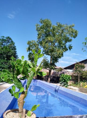 Hotel Tian's Resort